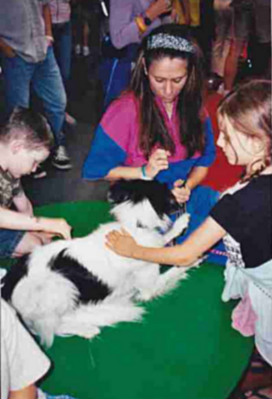 Dog Agility